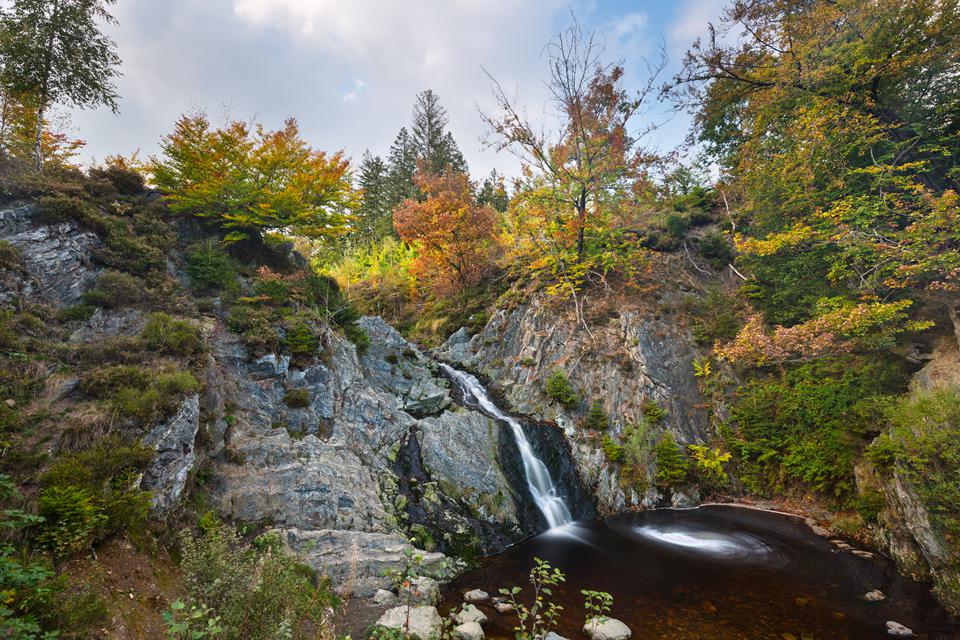 Ardenne Photo : 2 sur 2