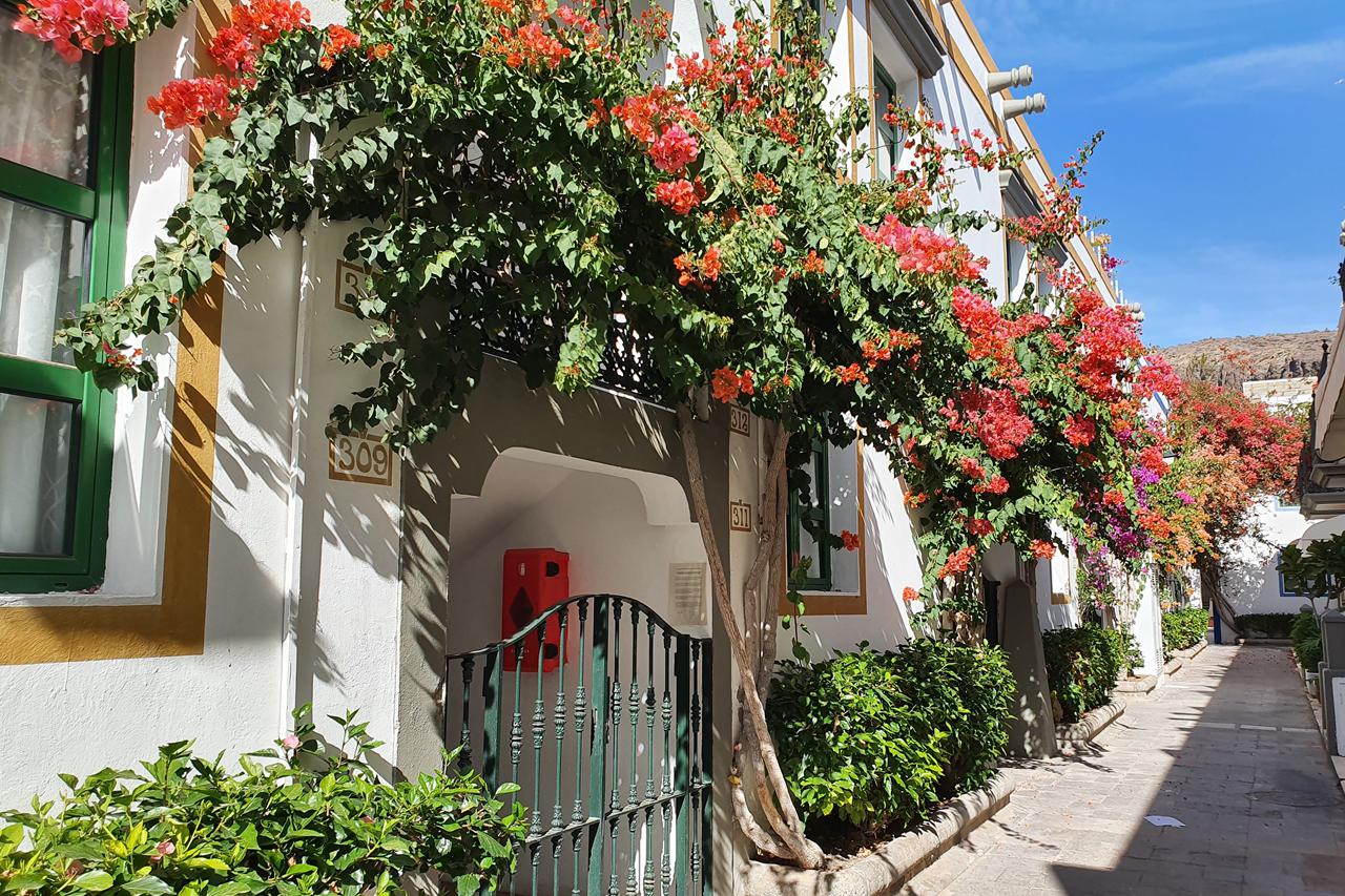 Billy's Puerto de Mogán by LIVVO, foto 9