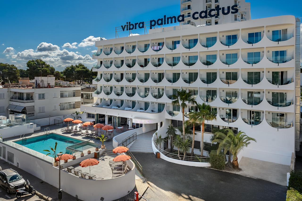 Vibra Palma Cactus, foto 11
