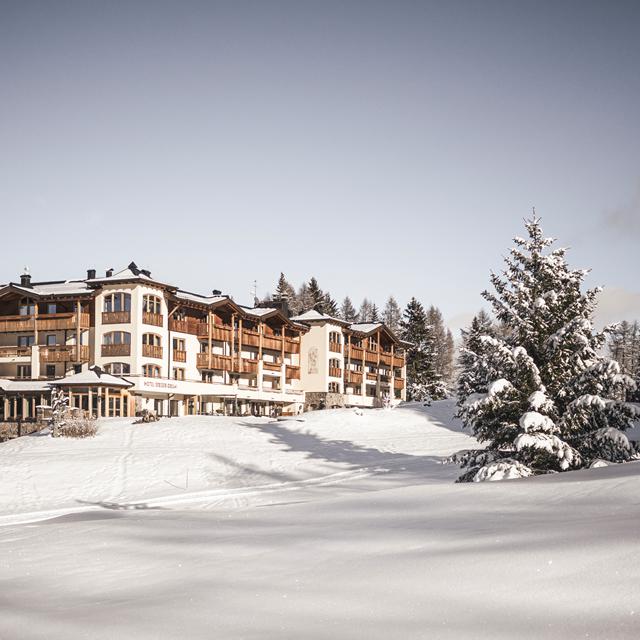 Hotel Steger-Dellai Seiser Alm