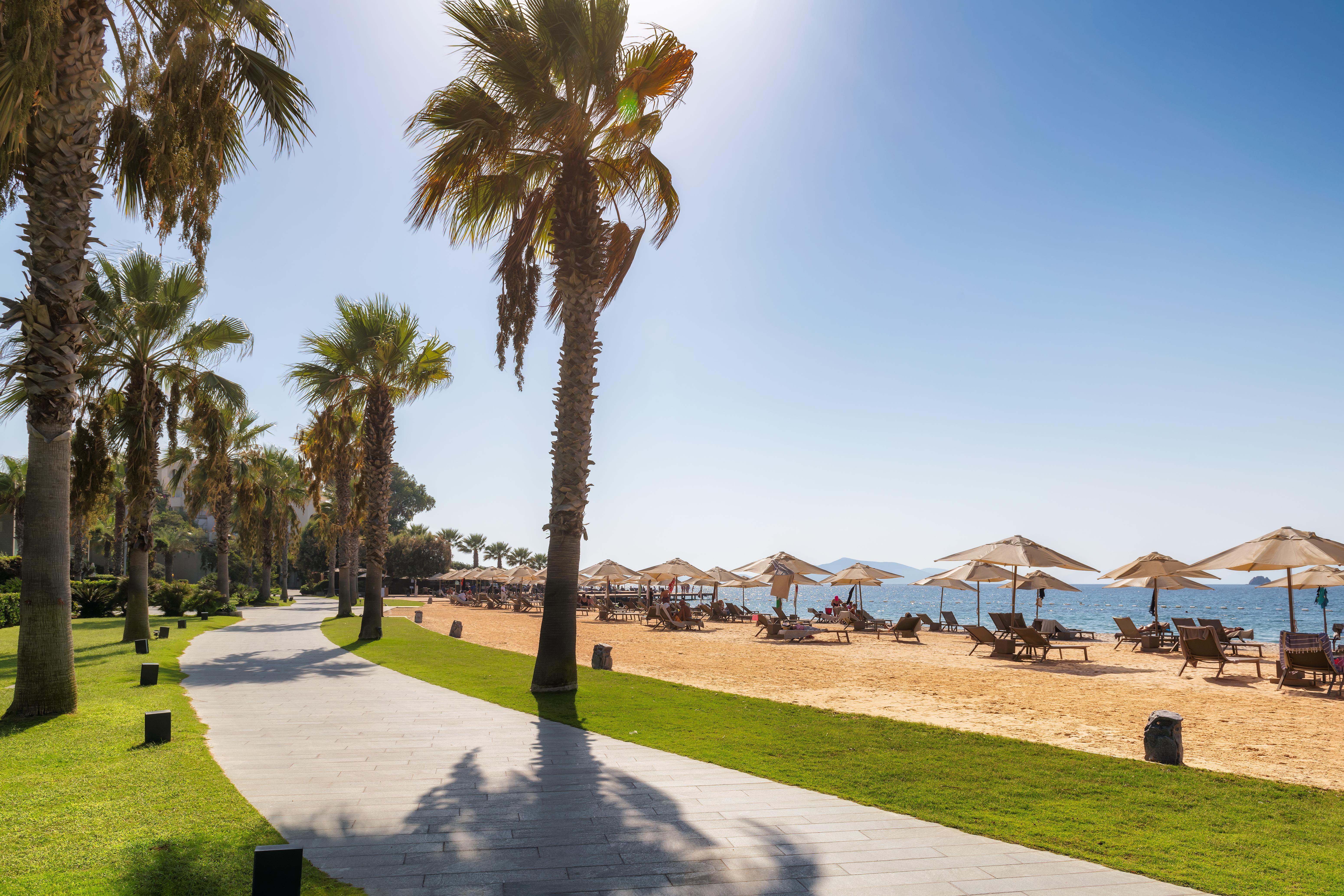 Bodrum-Turgutreis Photo : 3 sur 4