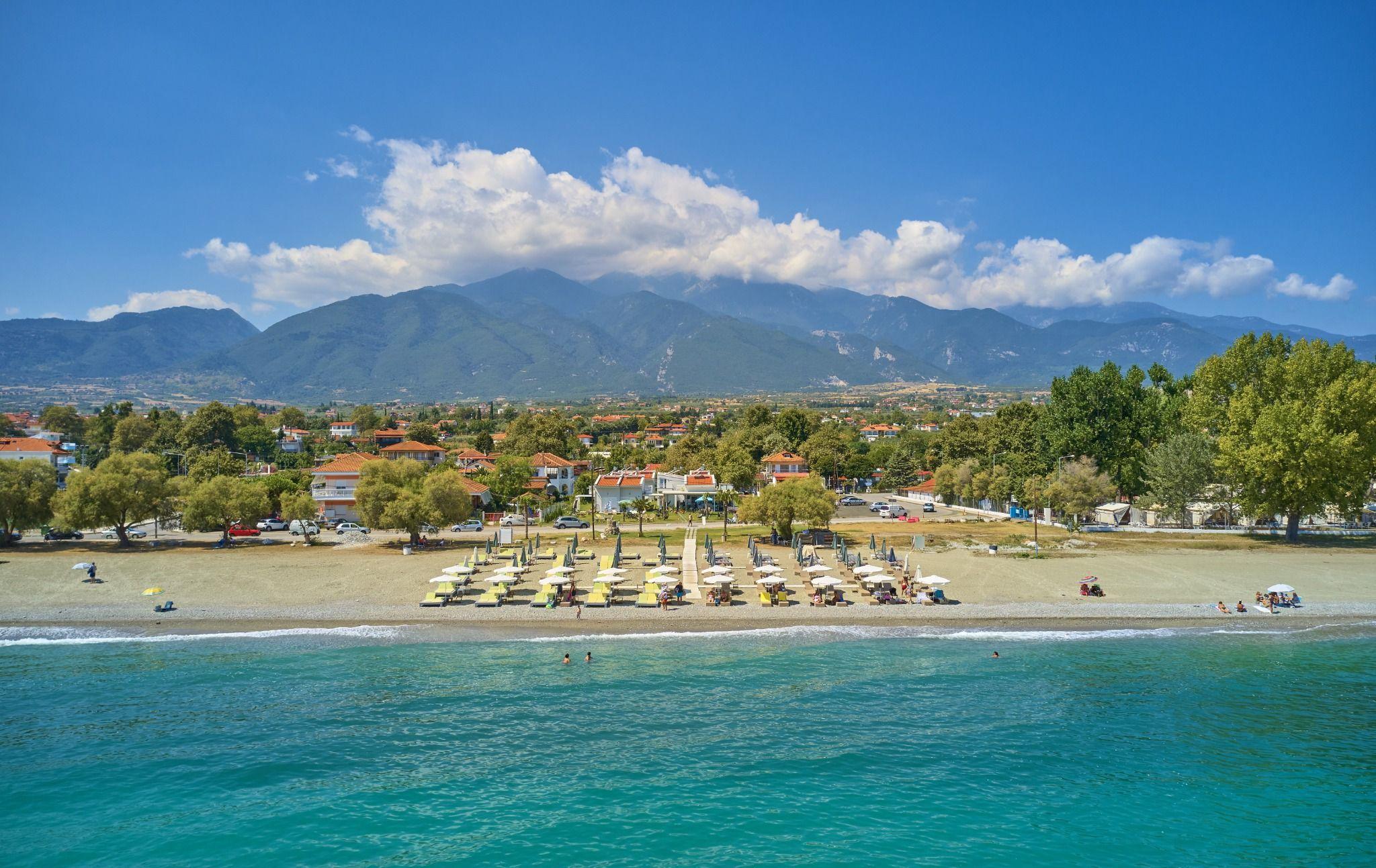 Leptokaria Photo : 3 sur 5