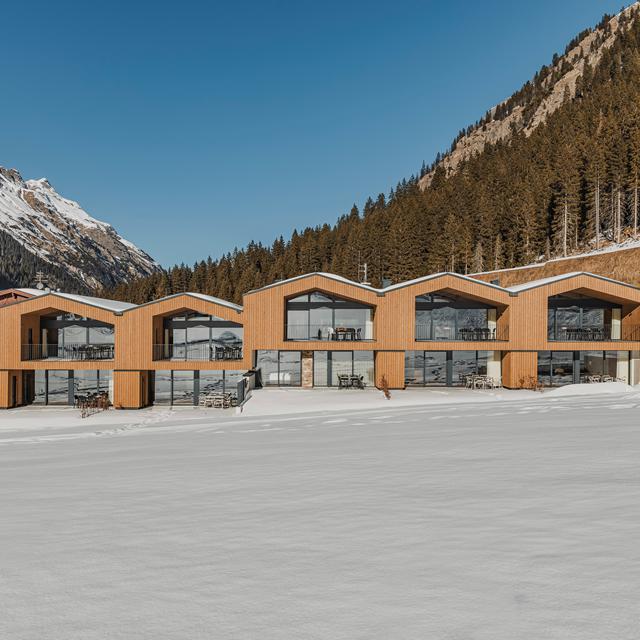 Panorama Chalets Pitzta