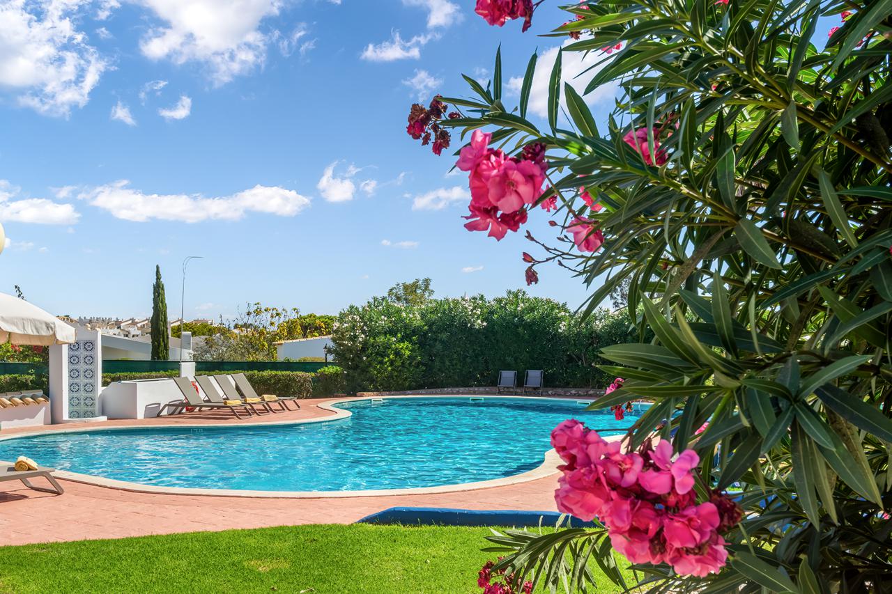 Appartementen Quinta do Paraiso, foto 9