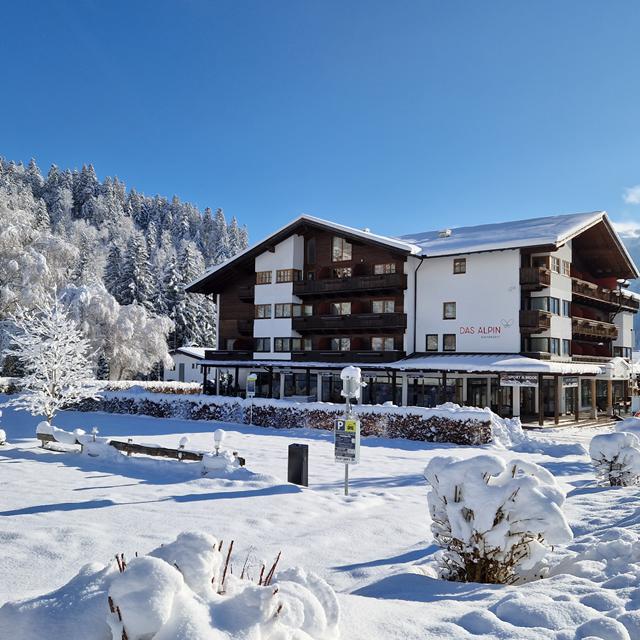 Hotel Alpin Scheffau
