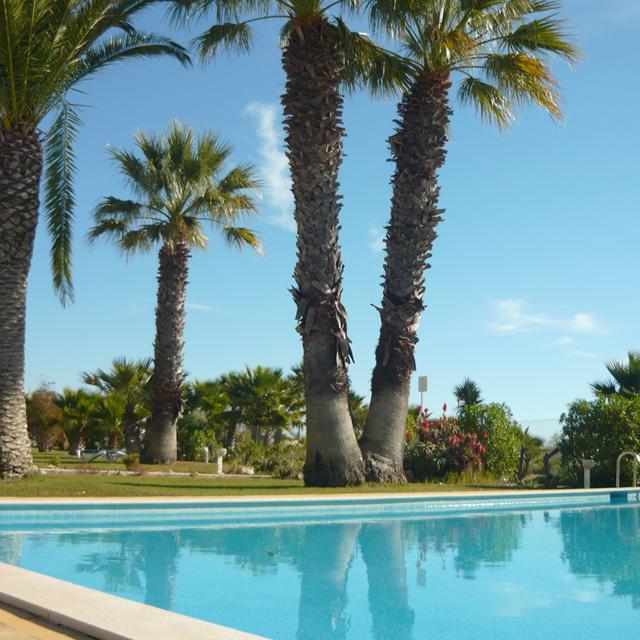 Praia da Lota Hotel