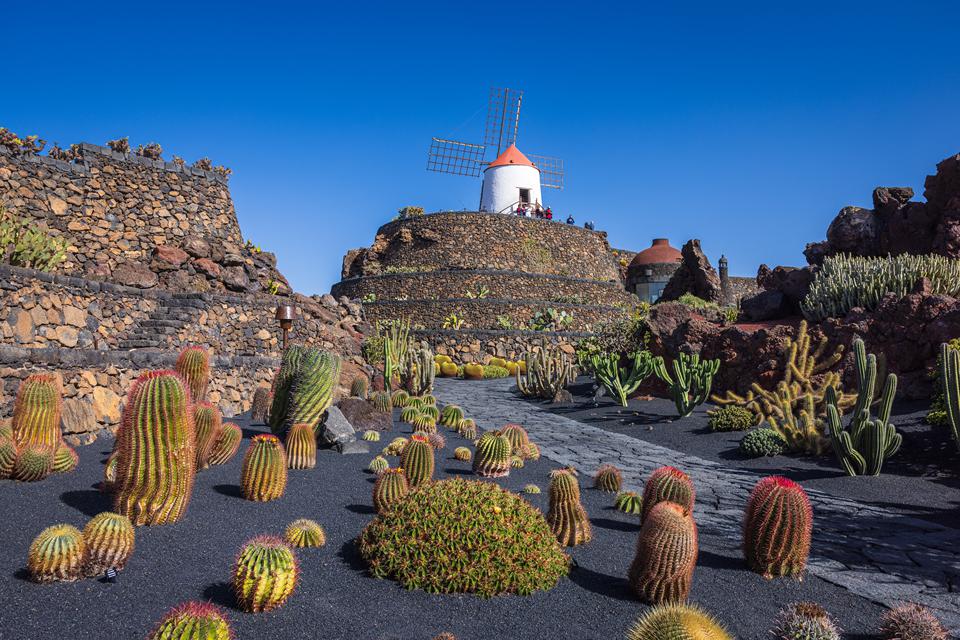 Lanzarote Foto: 4 van 5