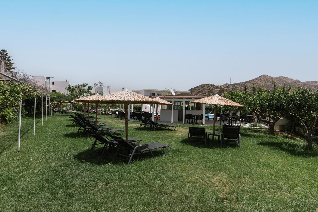 Elea Terra, foto 10