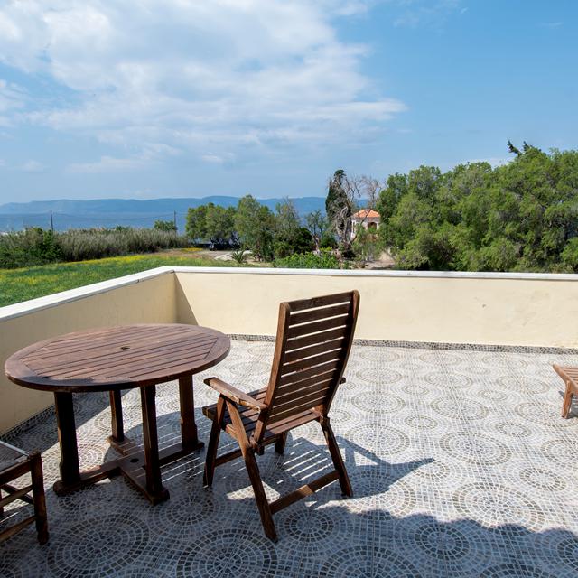 Eftalou Olive Grove