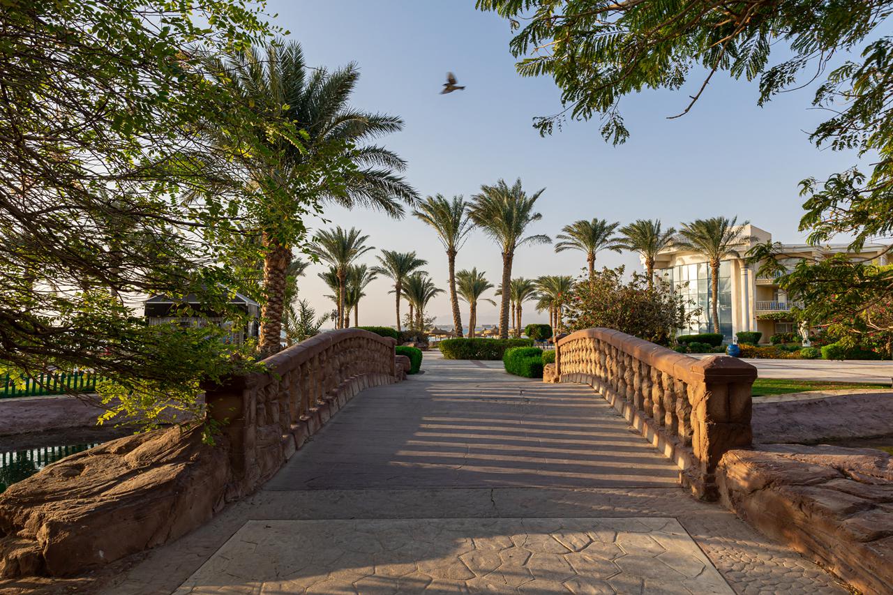 Palm Royale Soma Bay Resort, foto 12