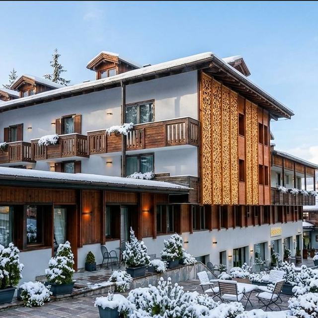 Hotel Caminetto