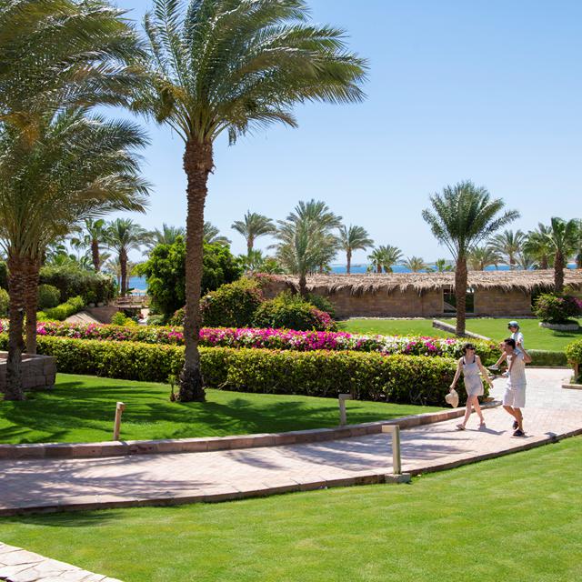 Hotel Fort Arabesque Resort