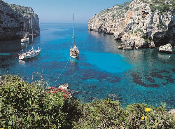 Foto van Calan Bosch