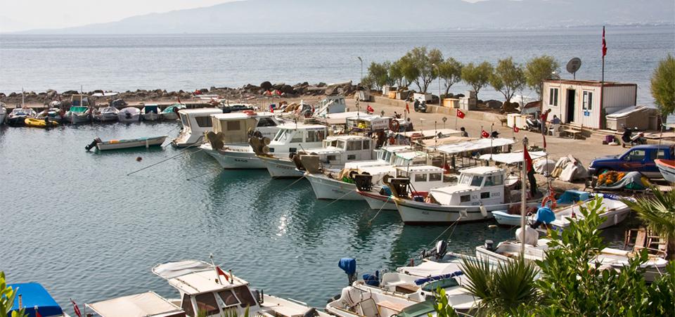 Bodrum - Guvercinlik Photo : 4 sur 5