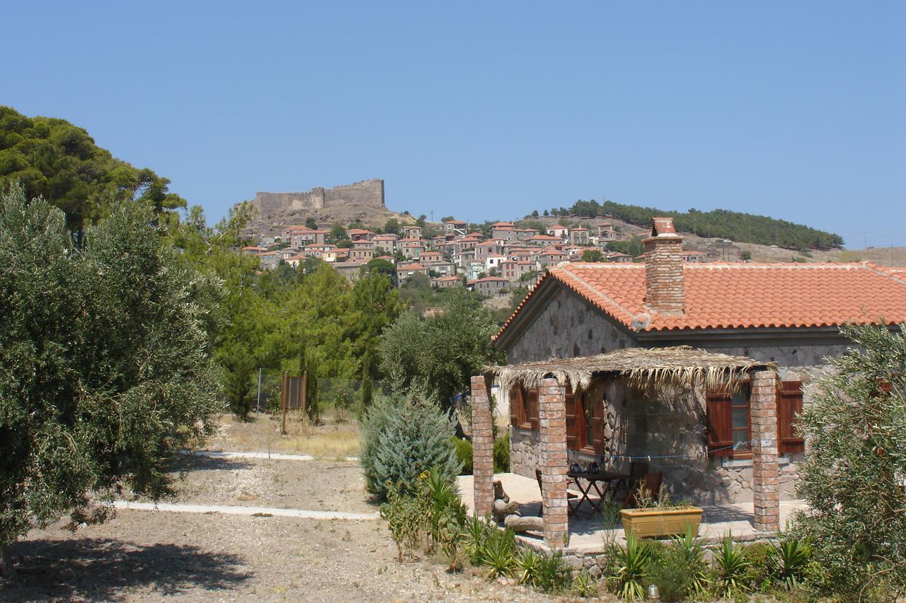 Appartementen Villa's Elpiniki, foto 15