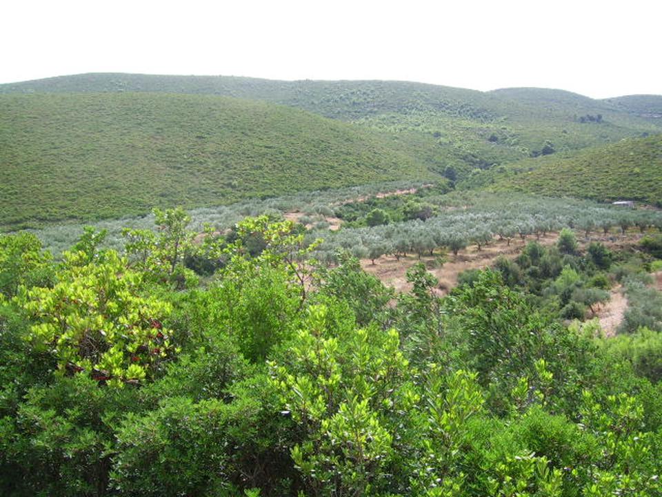 Gerakas Foto: 6 van 6