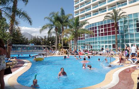 Flamingo Oasis