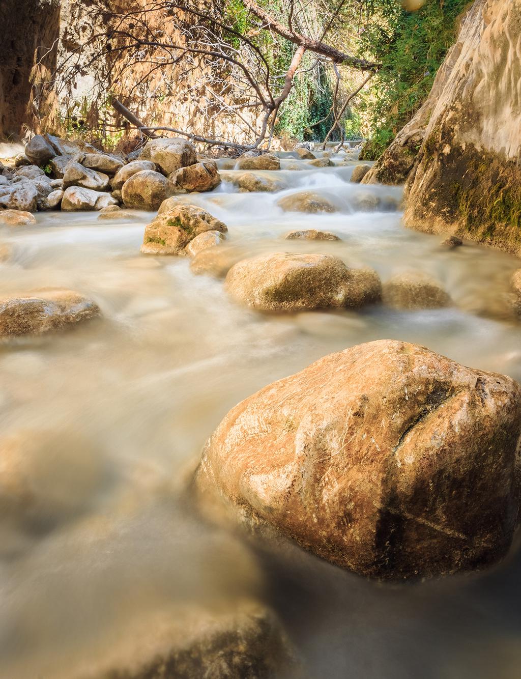 Lisa, Product Executive