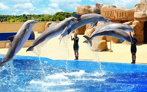 Parc Aquatique Marineland Catalunya